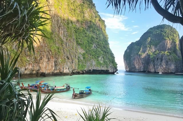 Compare Phi Phi Islands Day Trips from Khao Lak