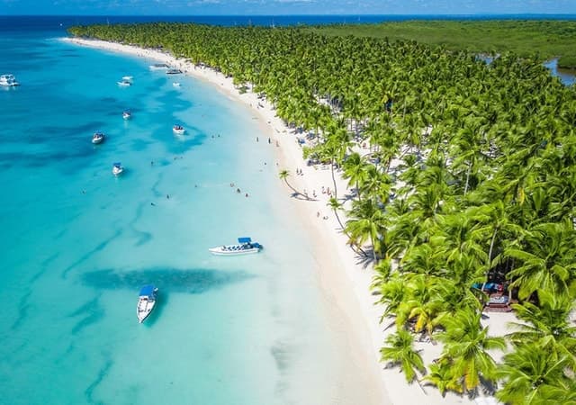Saona Island Day Trip: Top Tours & Deals
