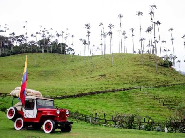 Salento, Cocora and Filandia Tour from Pereira or Armenia