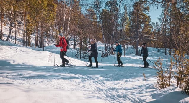 Orvvosfossen Snowshoeing: An Unforgettable Alta Adventure