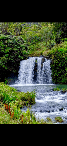 Maui: Small-Group Road to Hāna Sightseeing Tour