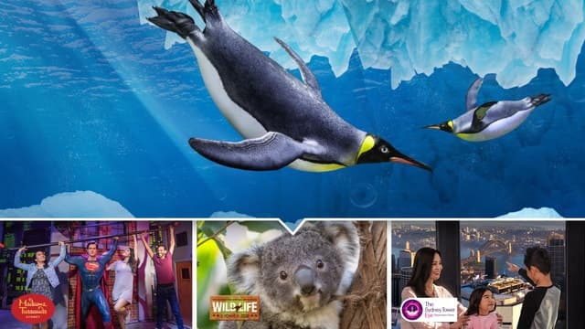Sydney: Ultimate City Pass for 4 Attractions with Skywalk