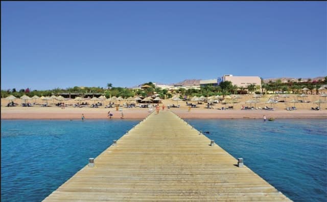 Compare Top Aqaba Beach Experiences