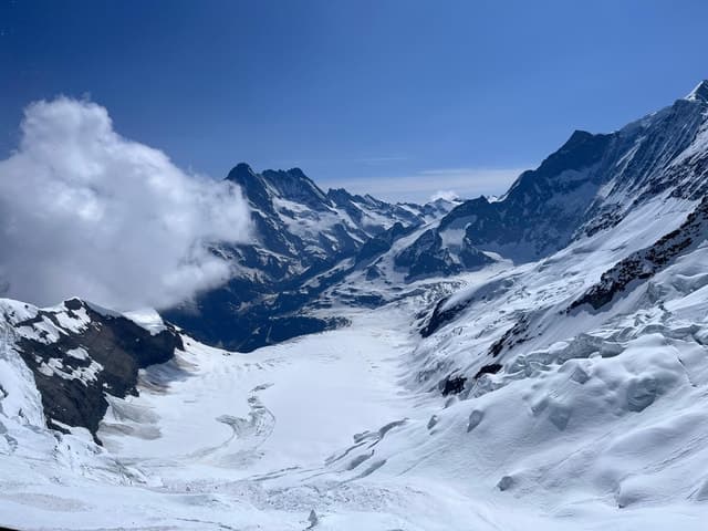Private Day Tour to "Top of Europe", incl Swiss Picknick