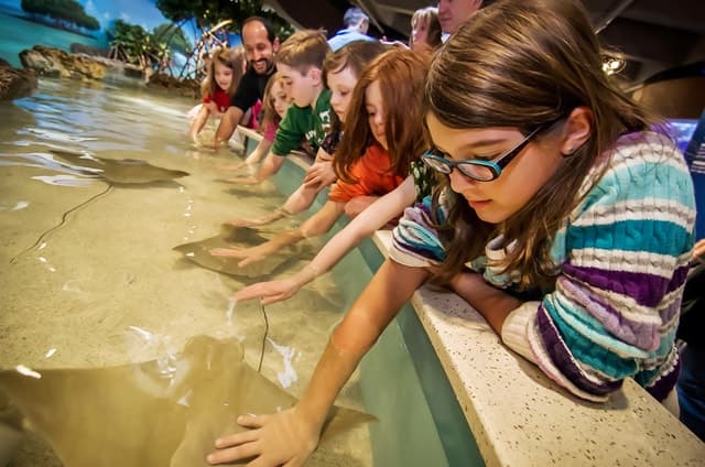 Boston: New England Aquarium Entry + Optional Simons Theatre
