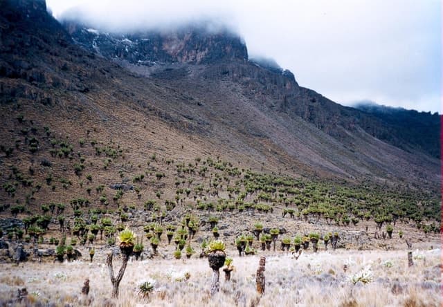 5 Days Mt Kenya Climb Sirimon Down Narumoru Route