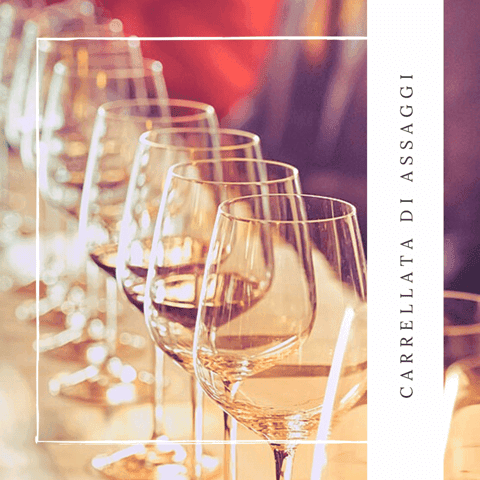 Guided tasting of local wines