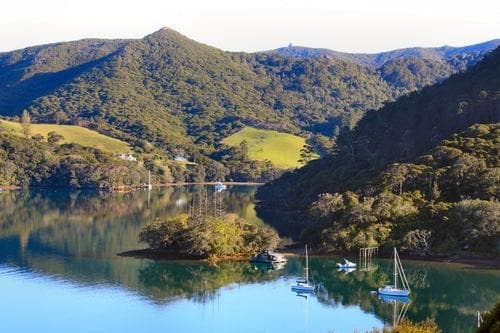 Great Barrier Island