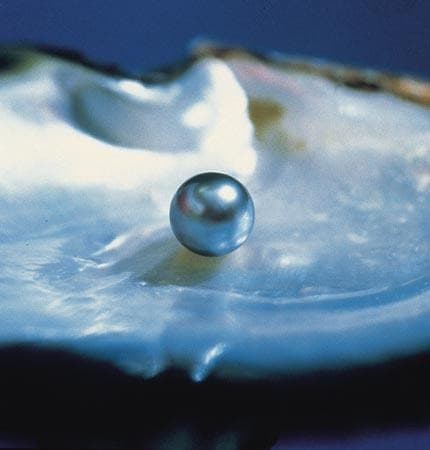Robert Wan Pearl Museum (Musee de la Perle Robert Wan)