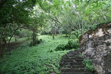 Pigeon Island