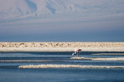 Atacama Salt Flats (Salar de Atacama)