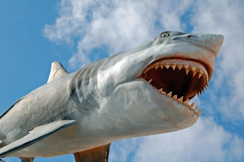 Punta del Este Museum of the Sea (Museo del Mar)