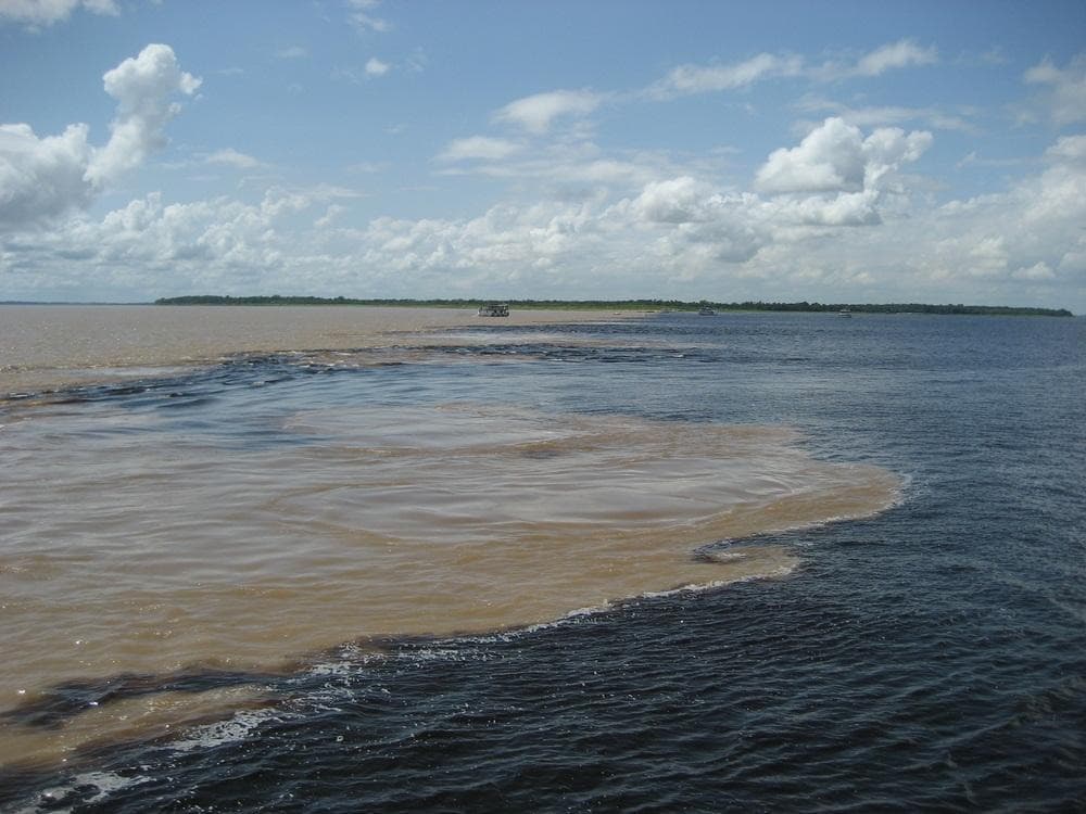 Meeting of Waters (Encontro das Aguas)