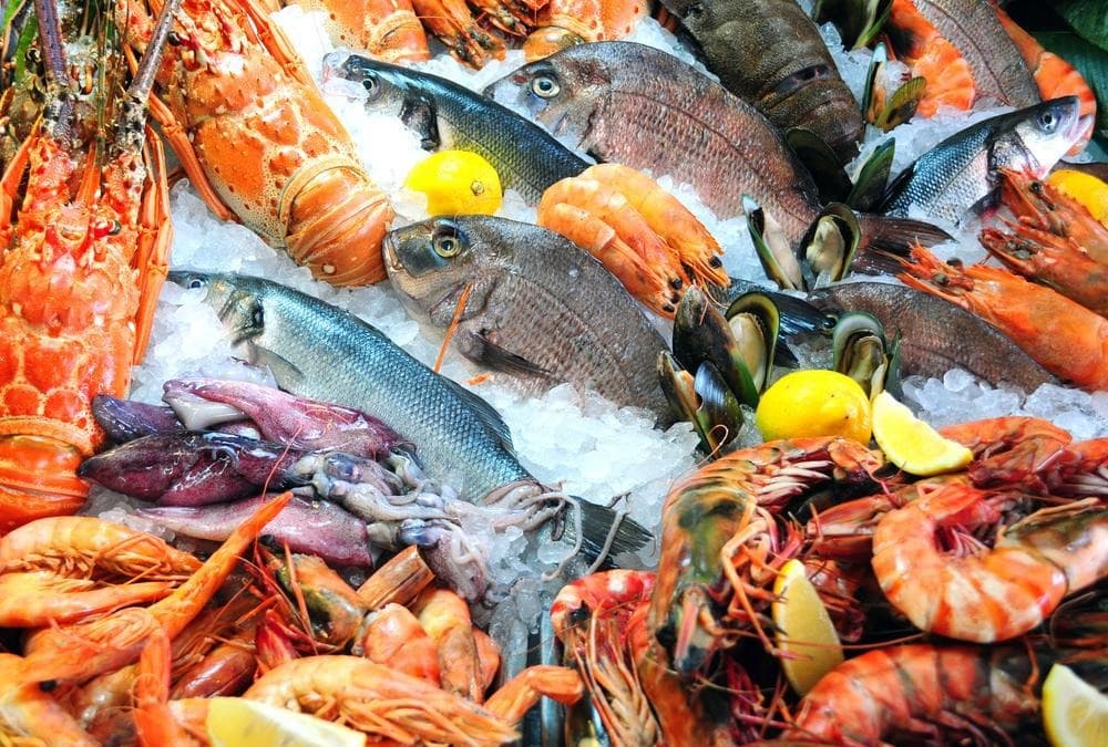 Sydney Fish Market (SFM)