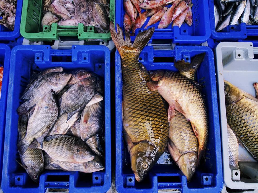 Noryangjin Fish Market