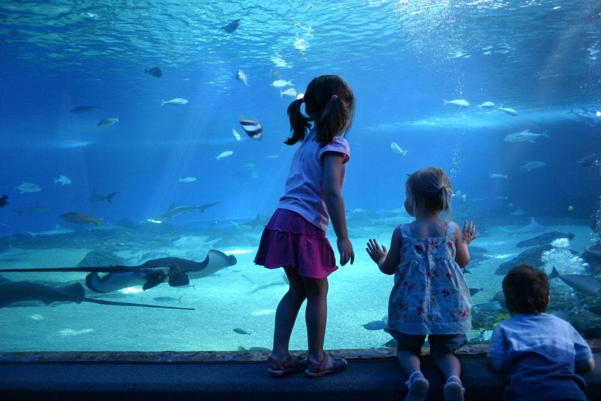 SEA LIFE® Munich