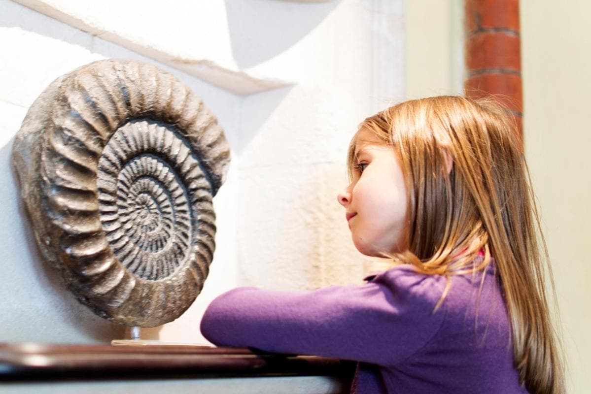 Museum of Nature and Archaeology (MUNA)