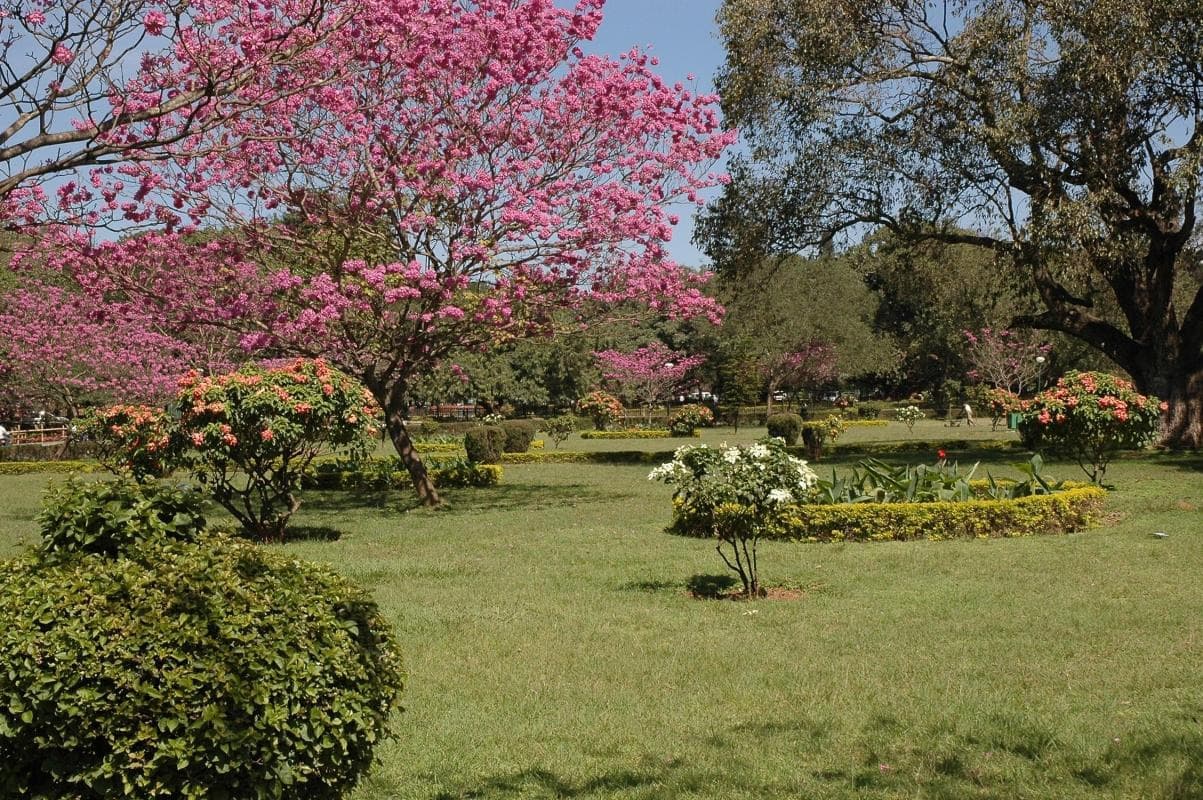 Sri Chamarajendra Park (Cubbon Park)