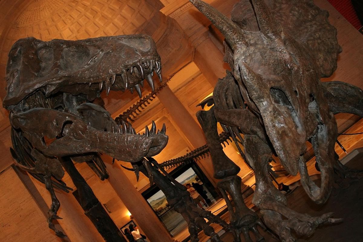 Natural History Museum of Los Angeles County (NHM)
