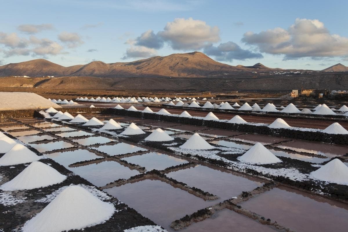 Salinas de Janubio