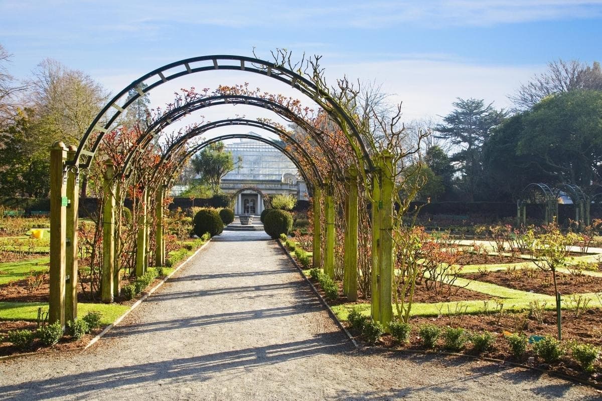 Hagley Park