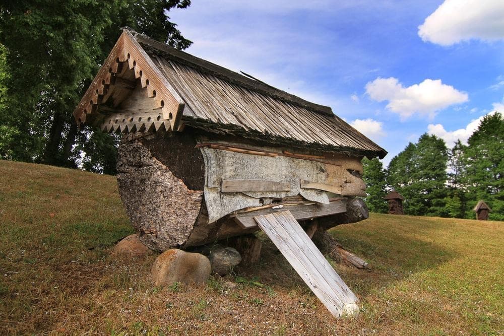 Museum of Ancient Beekeeping (Senovines Bitininkystes Muziejus)