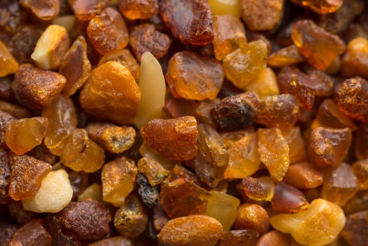 Amber Museum-Gallery (Gintaro Muziejus-Galerija)