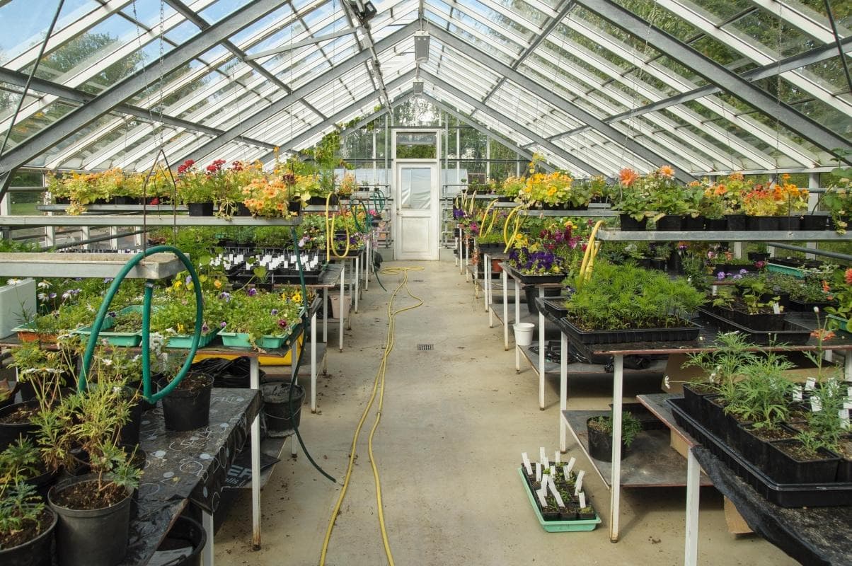 Akureyri Botanical Garden (Lystigardur Akureyrar)