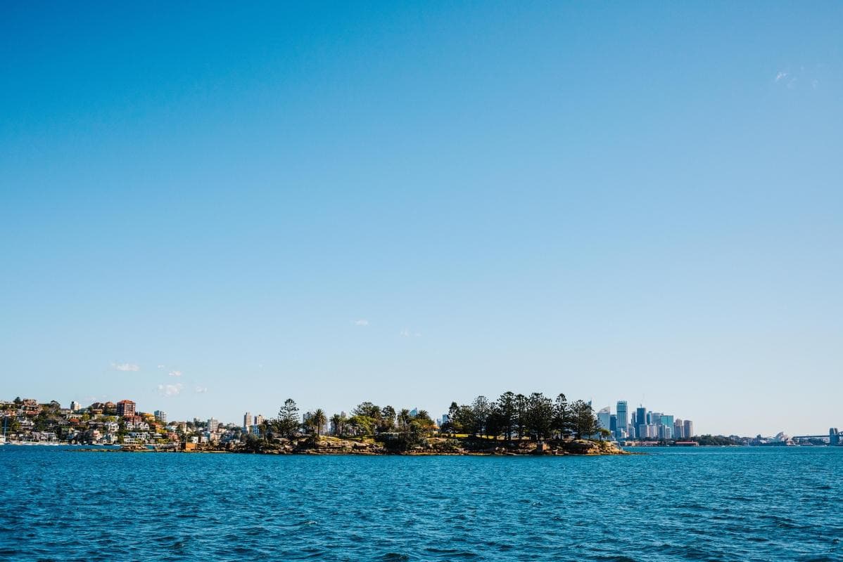 Shark Island