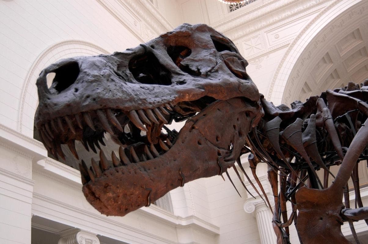 Fernbank Museum of Natural History