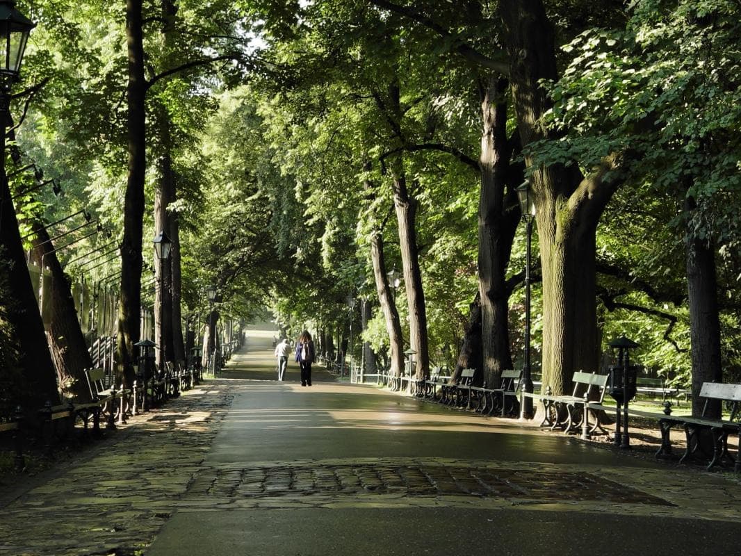 Planty Park