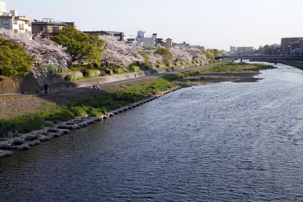 Kamogawa River (Kamo River)
