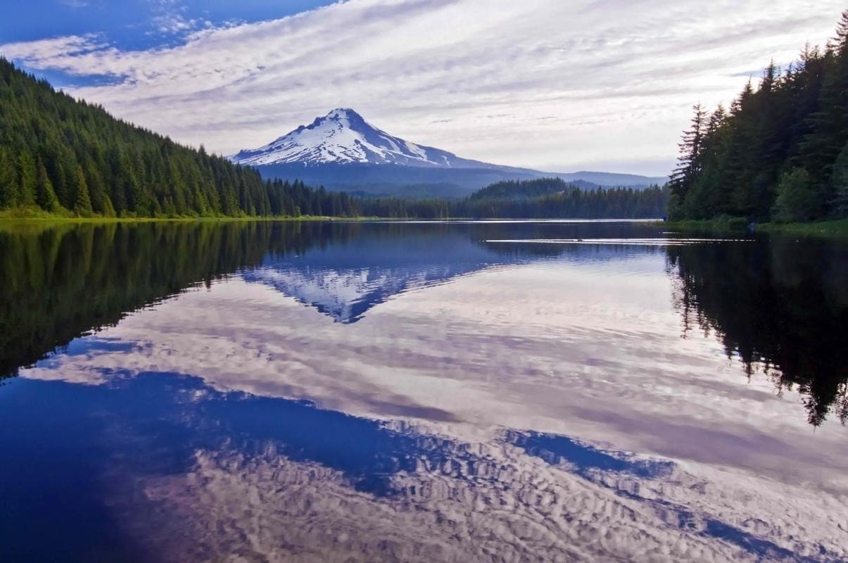Mt. Hood National Forest