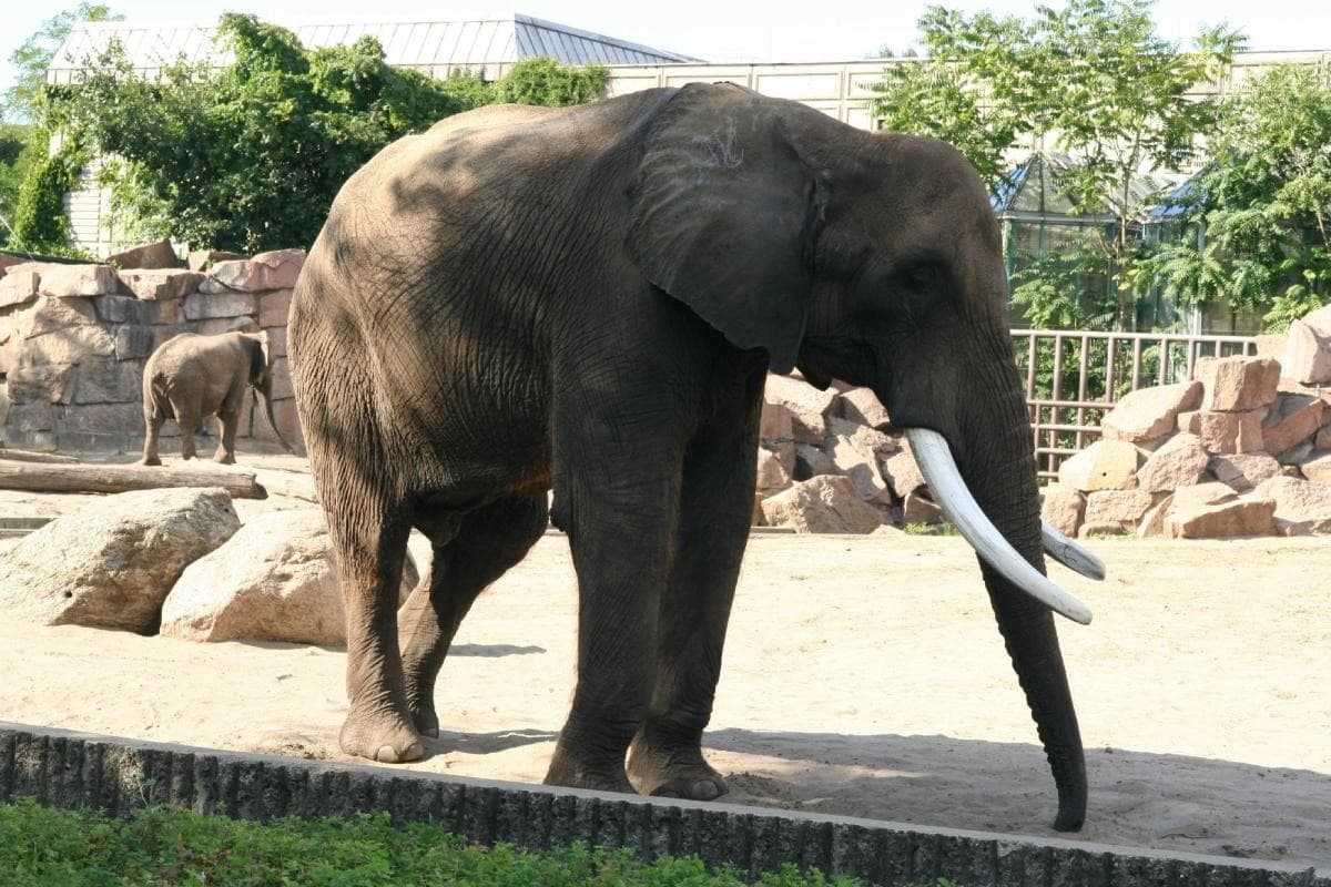 Tierpark Berlin
