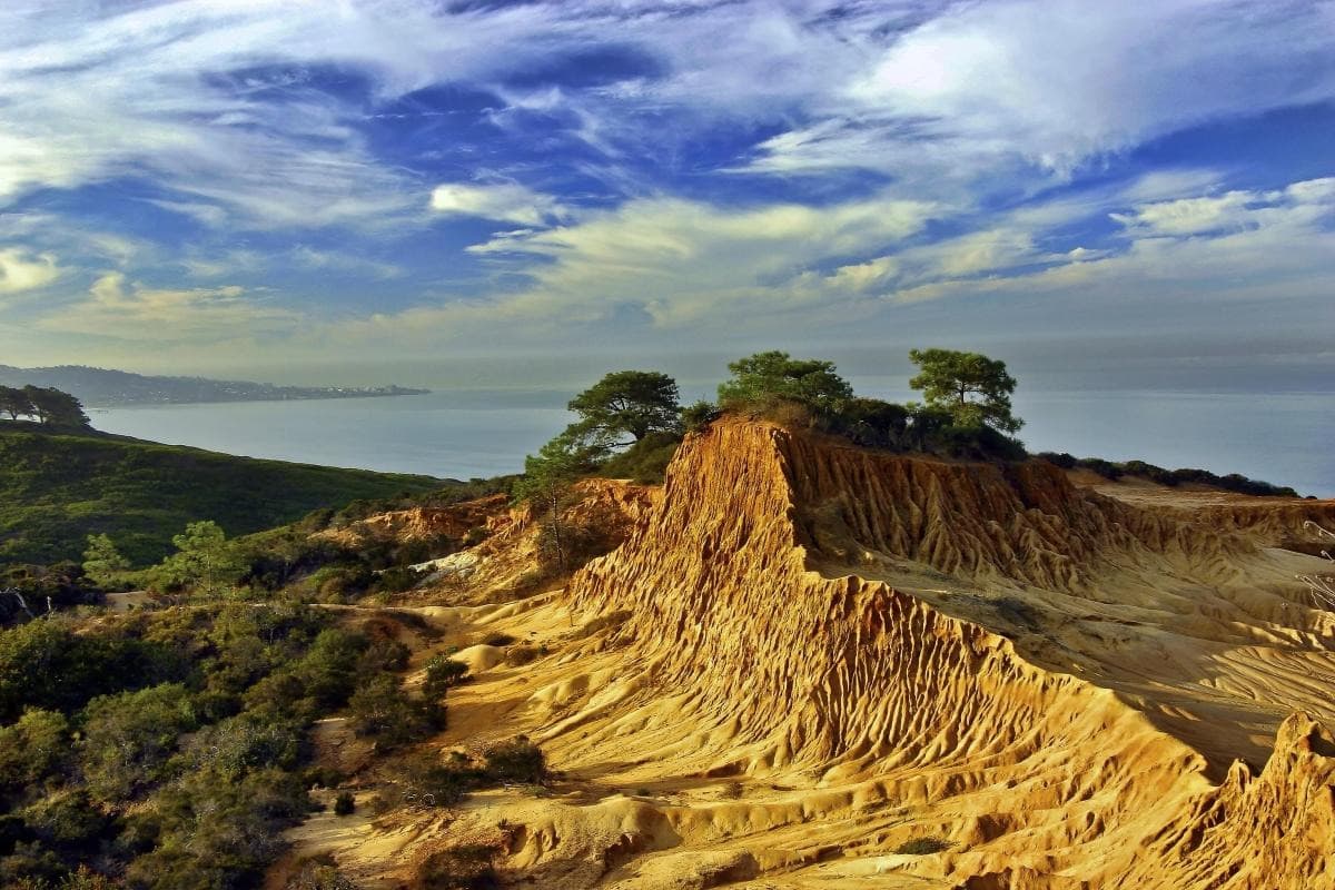 Torrey Pines State Natural Reserve