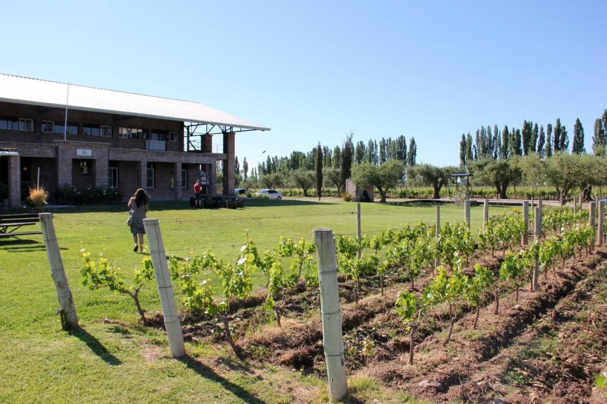 Achaval-Ferrer Winery