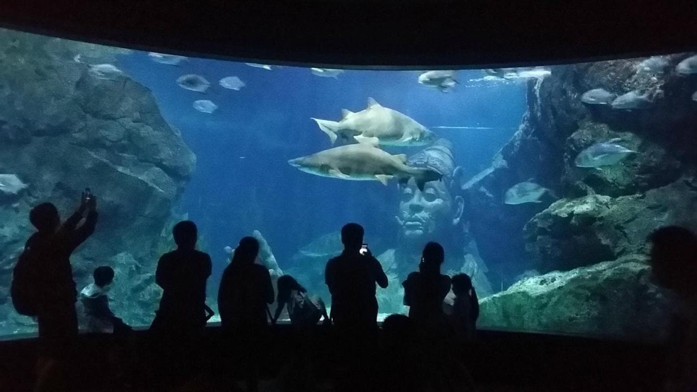 SEA LIFE® Bangkok Ocean World