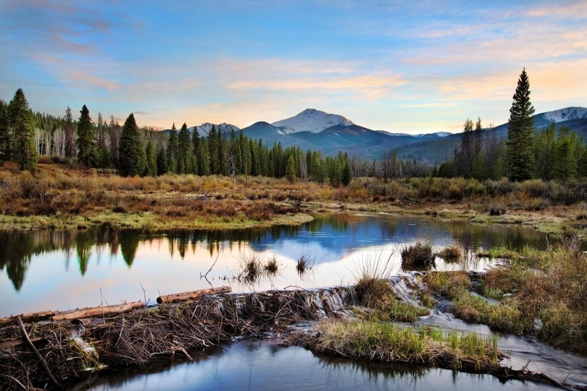 Winter Park
