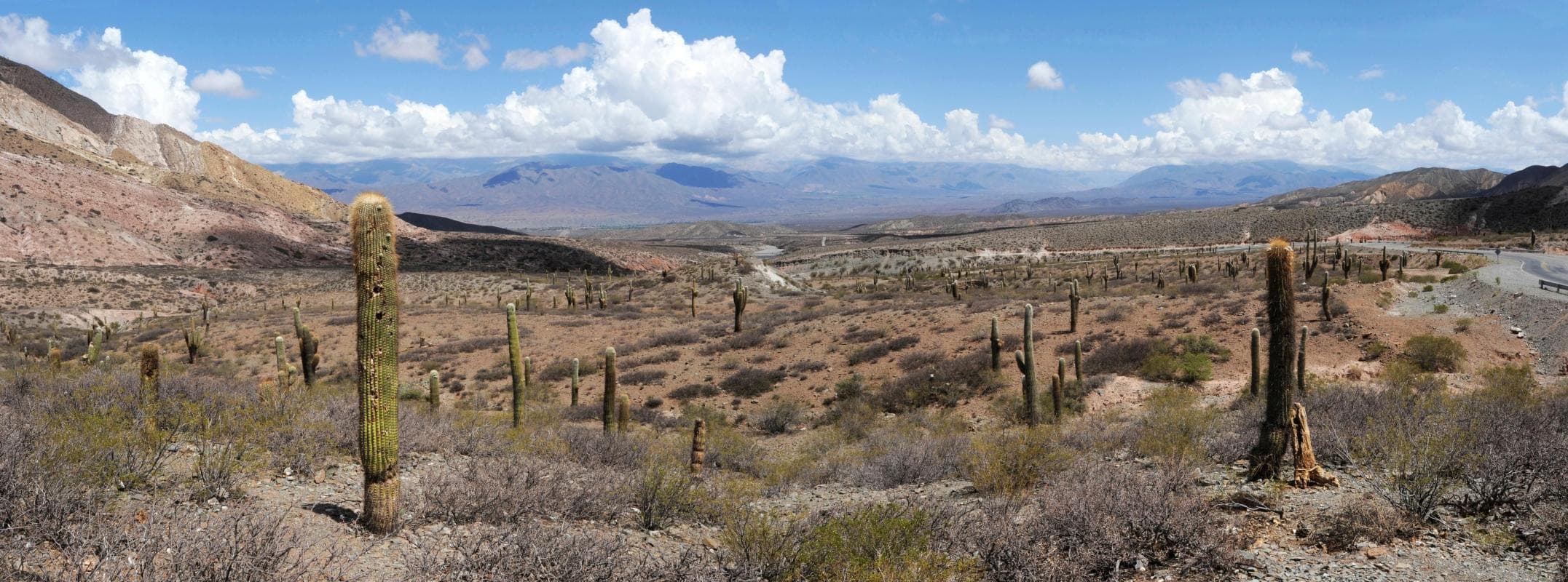 Los Cardones National Park