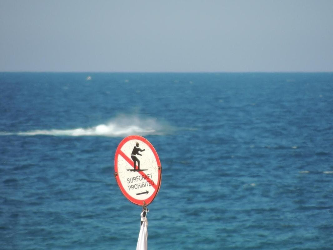 Whale Beach