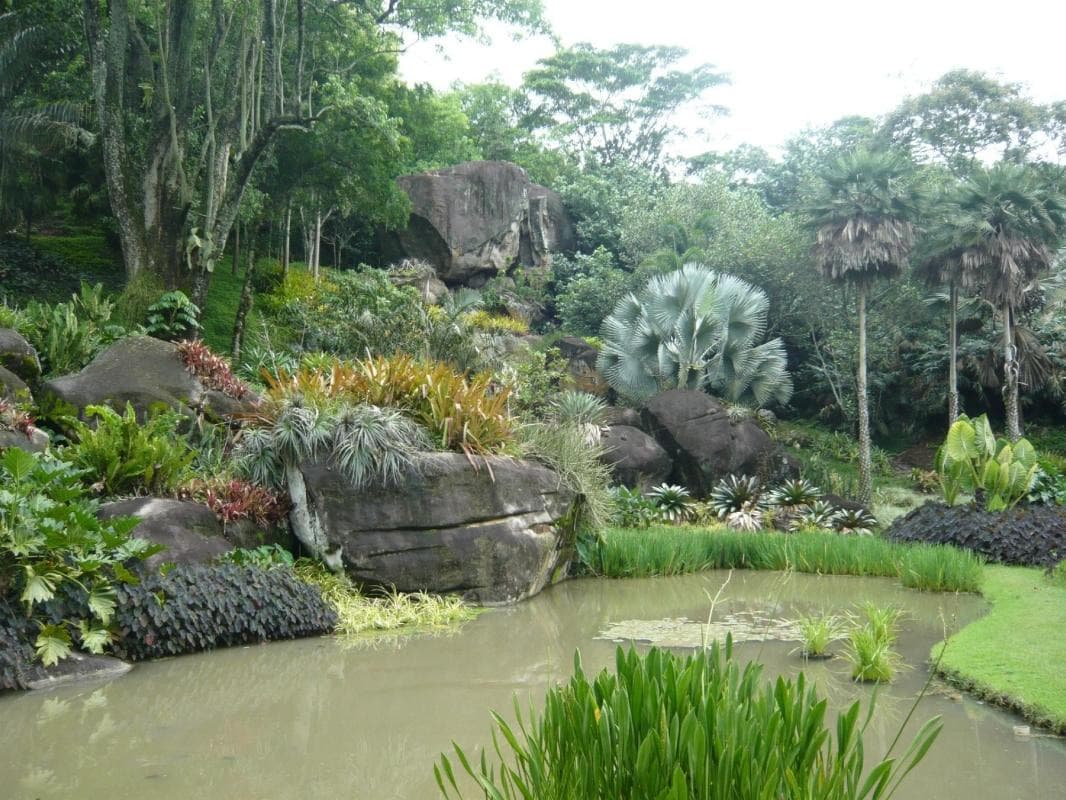 Roberto Burle Marx Site (Sítio Roberto Burle Marx)