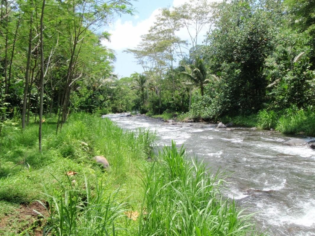 Telaga Waja River