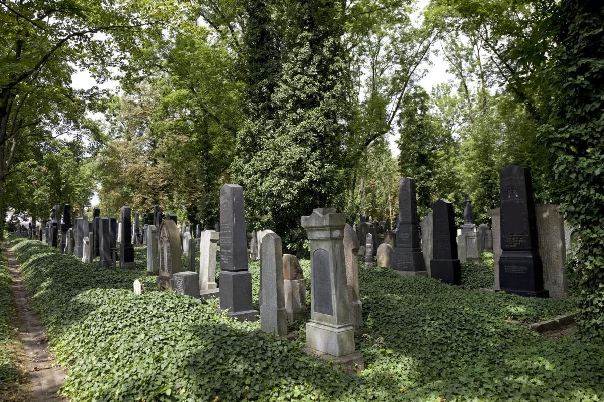 New Jewish Cemetery (Nový Zidovský Hrbitov)