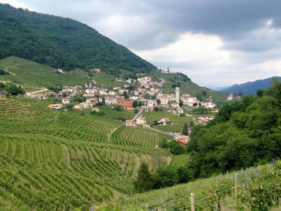 Prosecco Hills
