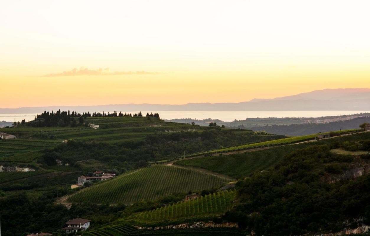 Valpolicella