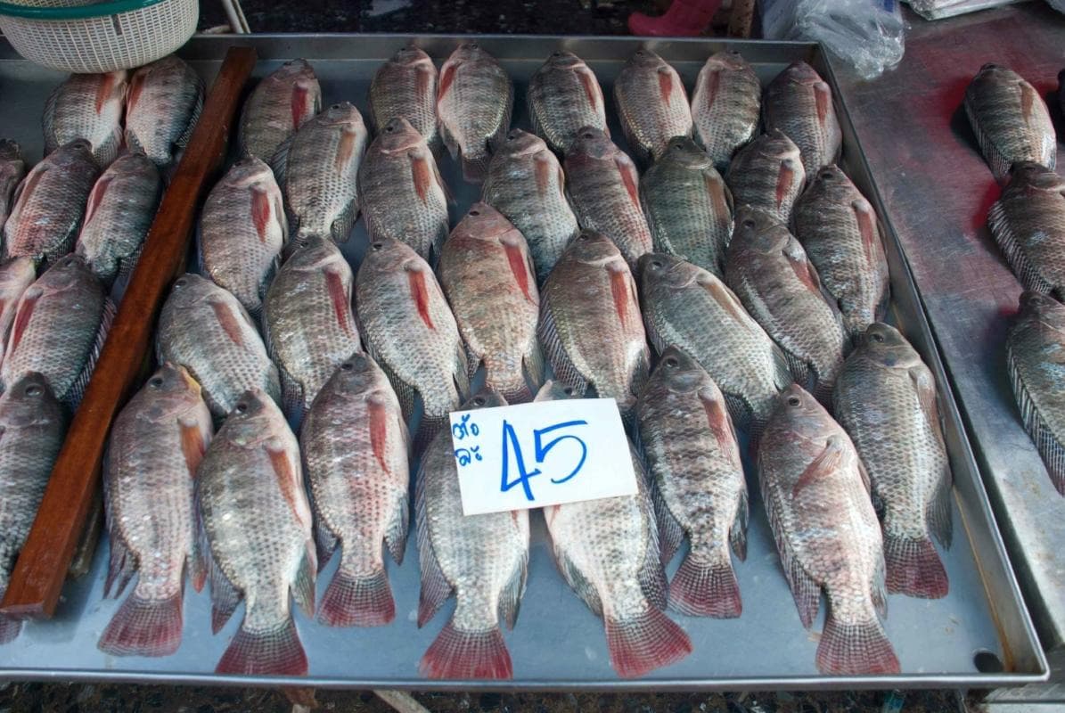 Khlong Toei Market