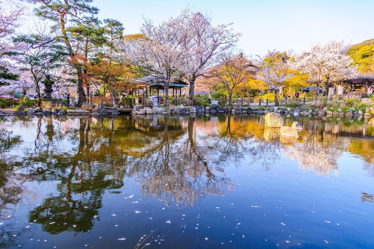 Maruyama Park (Maruyama Koen)