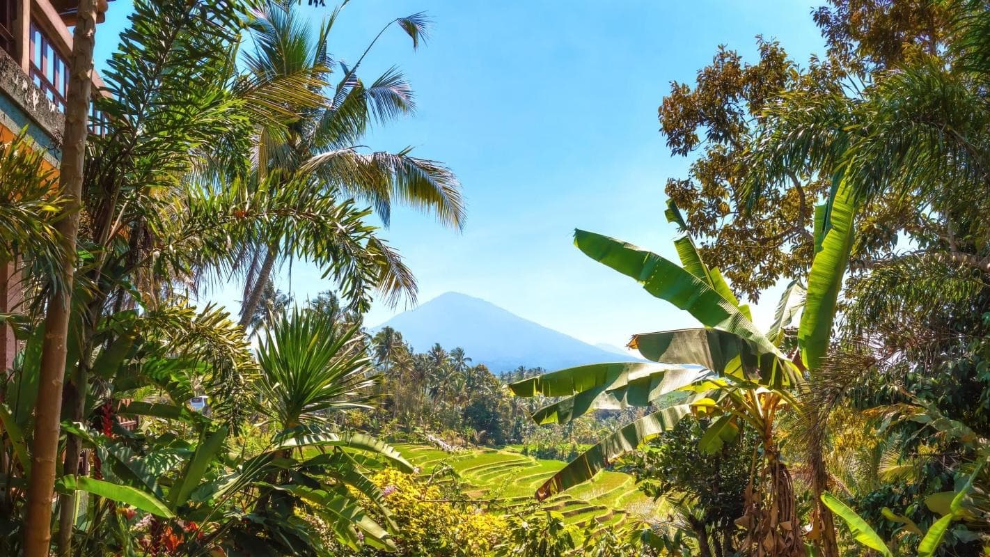 Mt. Batukaru (Gunung Batukaru)