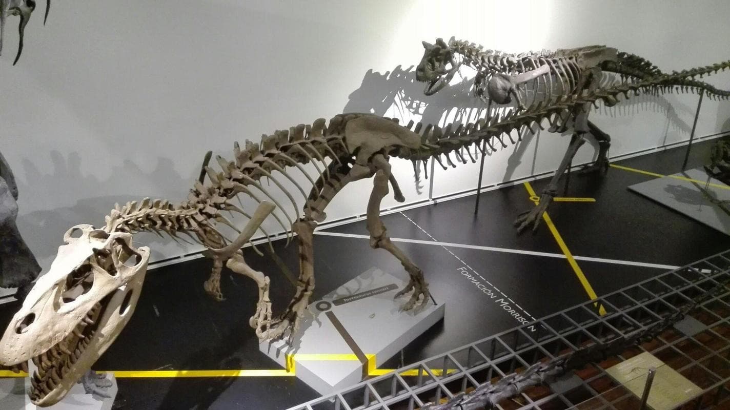 National Museum of Natural Sciences