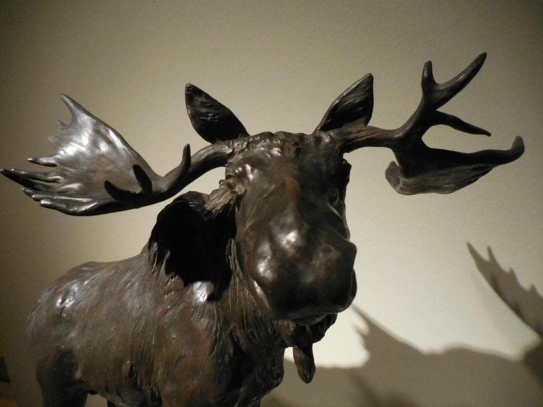 San Antonio Museum of Art (SAMA)